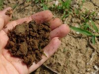 Soil analysis